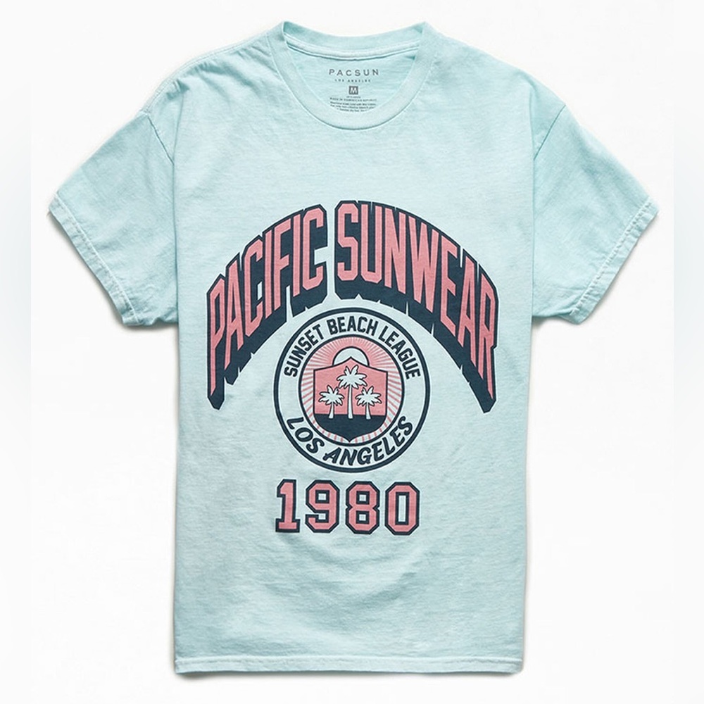 ⭐️PacSun Classic Tee in Light Gray